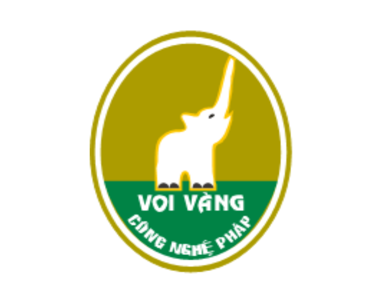 Công ty Cổ phần Việt Pháp (Doanh nghiệp có vốn nước ngoài)