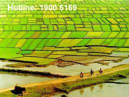 Pháp luật quy định về thế chấp bảo lãnh bằng quyền sử dụng đất thế nào?
