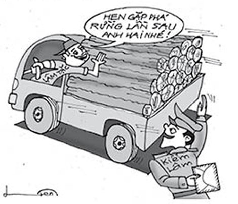 Tội vi phạm các quy định về quản lí rừng