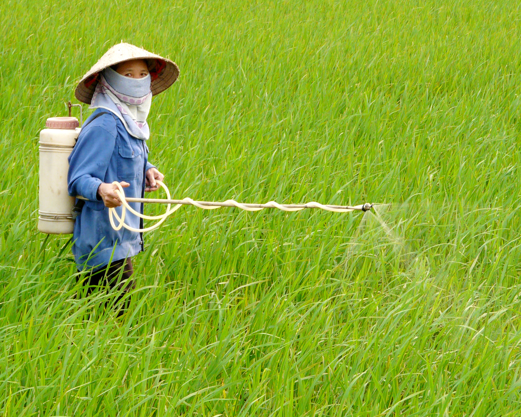 Tội sản xuất buôn bán hàng giả là thức ăn dùng để chăn nuôi-phân bón-thuốc thú y-thuốc bảo vệ thực vật