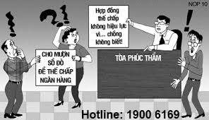 Luật sư tư vấn thủ tục đòi lại đất đai đã cho mượn