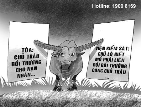Bồi thường thiệt hại do súc vật gây ra