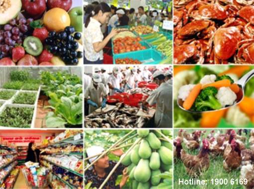 Tội vi phạm quy định về vệ sinh an toàn thực phẩm