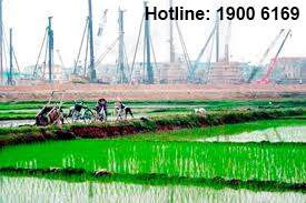 Các trường hợp thu hồi đất