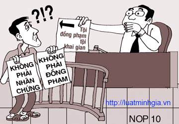 Từ chối khai báo từ chối kết luận giám định hoặc từ chối cung cấp tài liệu phạm tội gì?