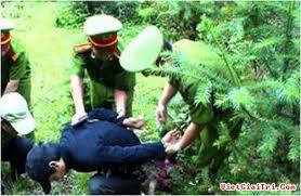 Tội tổ chức cưỡng ép người khác trốn đi nước ngoài hoặc ở lại nước ngoài trái phép
