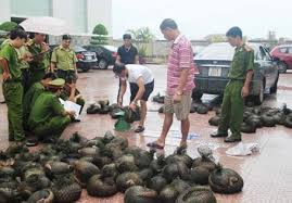 Tội vi phạm các quy định về bảo vệ động vật thuộc danh mục loài nguy cấp, quý, hiếm được ưu tiên bảo vệ