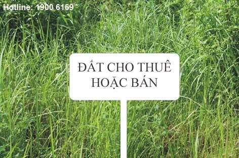 Chuyển nhượng đất nông nghiệp theo luật đất đai 1993 thế nào?