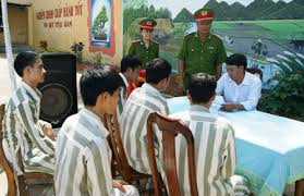Tư vấn về thủ tục xin đặc xá