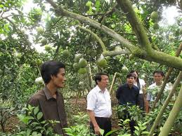 Quy định về Đất sử dụng cho kinh tế trang trại