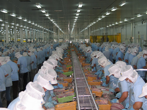 Tư vấn đăng ký ngành nghề sản xuất chế biến thực phẩm
