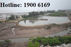 Đấu thầu đất mặt nước có thể san lấp trồng cây được không?