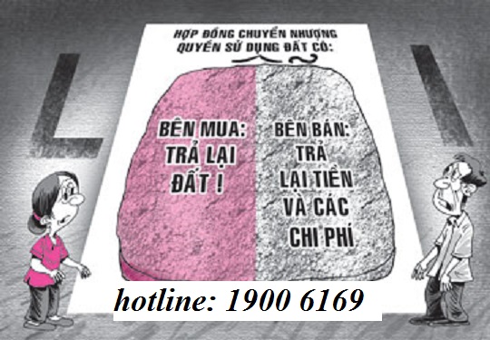 Tư vấn về hiệu lực của hợp đồng chuyển nhượng quyền sử dụng đất