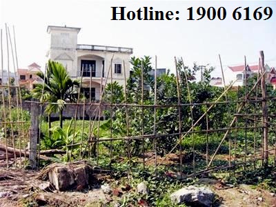 Hỏi về chuyển mục đích sử dụng đất và ưu đãi đối với người có công với cách mạng?