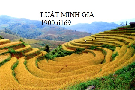 Thuế suất đối với thu nhập từ chuyển nhượng và tặng cho quyền sử dụng đất