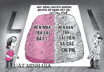 Hỏi về trường hợp nhận chuyển nhượng đất khi chưa được cấp giấy chứng nhận