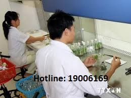 Mức hưởng phụ cấp ưu đãi trong các cơ sở y tế công lập