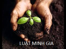 Trình tự, thủ tục chuyển mục đích sử dụng đất lên đất thổ cư