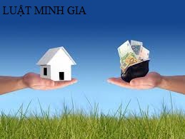 Hỏi về chuyển nhượng quyền sử dụng đất khi chưa được cấp giấy chứng nhận