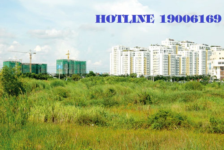 Tư vấn miễn phí qua mail về trường hợp chuyển MĐSDĐ