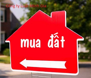 Người nước ngoài có được mua đất ở Việt Nam không?