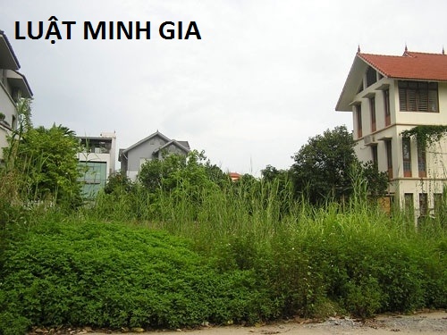 Tư vấn về hành vi lấn chiếm sử dụng đất công