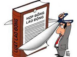 Hợp đồng lao động đối với người lao động trong cơ quan nhà nước