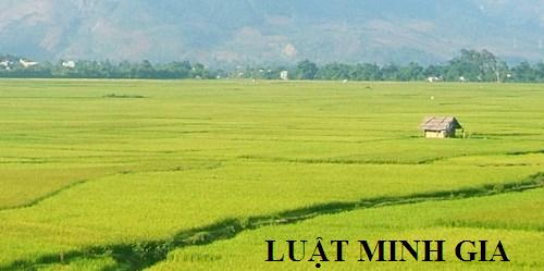Tư vấn quyền chuyển đổi quyền sử dụng đất