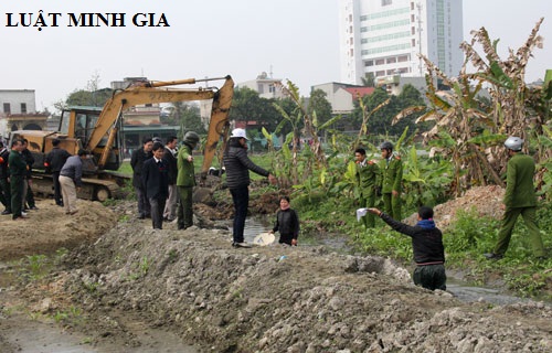 Tư vấn về bồi thường khi bị thu hồi đất nông nghiệp