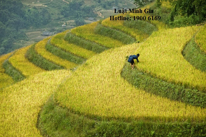 Tư vấn thủ tục tặng cho đất ?