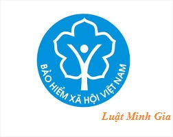 Luật sư tư vấn về Chế độ hưu trí theo quy định của pháp luật