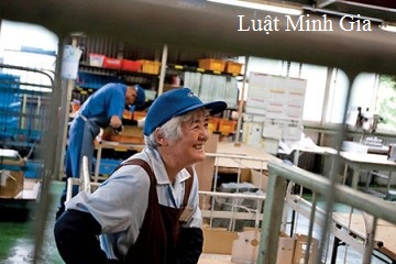 Ký hợp đồng lao động với người cao tuổi, có vi phạm pháp luật không?