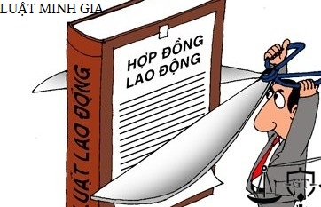 Bồi thường chi phí đào tạo khi đơn phương chấm dứt hợp đồng đúng pháp luật