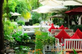 Thôi việc 15 ngày nhưng chưa được thanh toán tiền lương