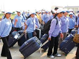 Không đi xuất khẩu lao động nữa có được lấy lại tiền không?