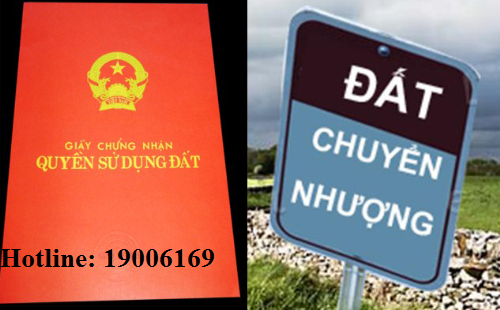 Cấp sai sổ đỏ, khởi kiện như thế nào?