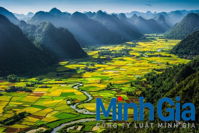 Có được miễn tiền thuê đất quá 3 năm xây dựng cơ bản không?