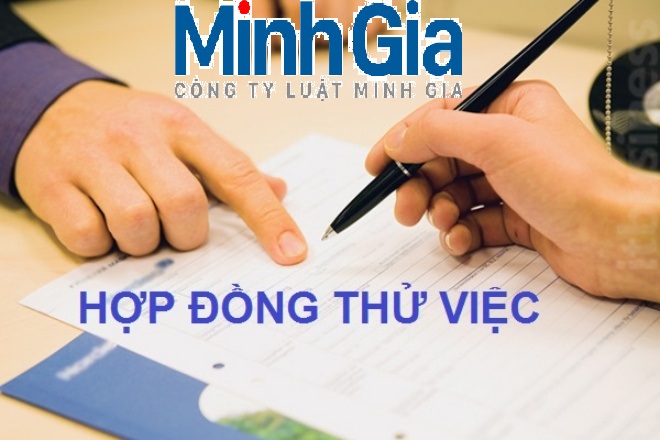 Đơn phương chấm dứt hợp đồng thử việc có phải bồi thường chi phí đào tạo không?