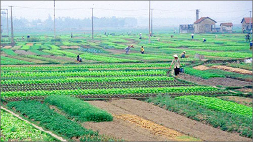 Tư vấn tranh chấp đất đai, hướng dẫn khởi kiện về đất đai