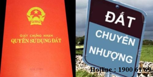 Tư vấn về chuyển nhượng quyền sử dụng đất nông nghiệp