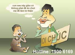 Luật sư tư vấn về điều kiện chuyển nhượng quyền sử dụng đất.