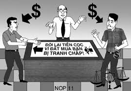 Thương binh 81% khi nhà nước cấp đất có phải đóng tiền sử dụng đất không?