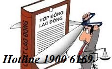 Tư vấn về các trường hợp chấm dứt hợp đồng lao động