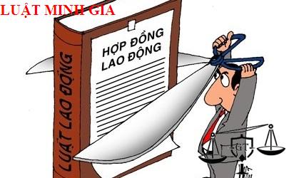 Quy định về hợp đồng lao động!