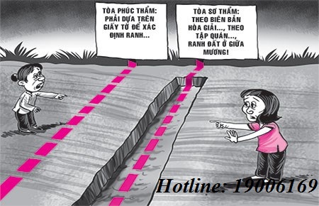 Chuyển nhượng quyền sử dụng đất trước hay sau khi chuyển mục đích sử dụng