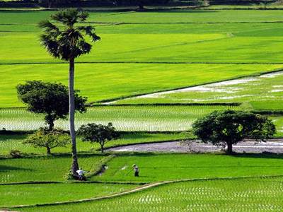 Chuyển mục đích sử dụng đất từ đất vườn ao sang đất ở