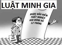 Tư vấn của luật sư về trường hợp hưởng bảo hiểm thất nghiệp