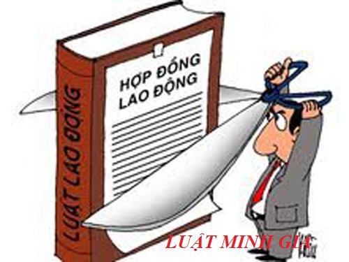 Công ty không ký hợp đồng chính thức yêu cầu thế nào?