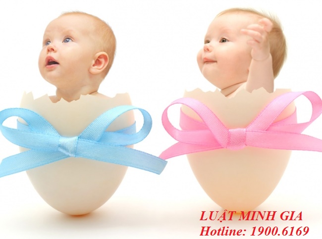 Tư vấn về vấn đề chế độ bảo hiểm sau khi sinh con