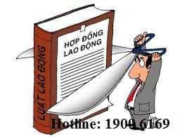Bỏ học đào tạo giữa chừng, giải quyết công việc như thế nào?